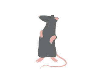 Rat Graphic