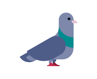 bird prevention graphic